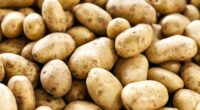 Are Raw Potatoes Dangerous for Wildlife to Eat?