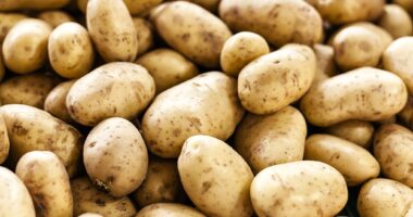 Are Raw Potatoes Dangerous for Wildlife to Eat?